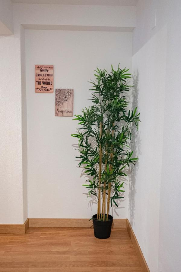 Appartamento La Casina De Leo Y Mia - Centro De 6p - Wifi - Vut-3398-as *